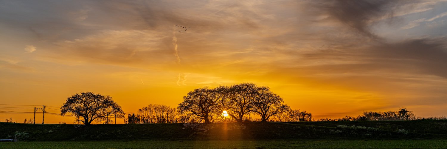 となり@portrait banner