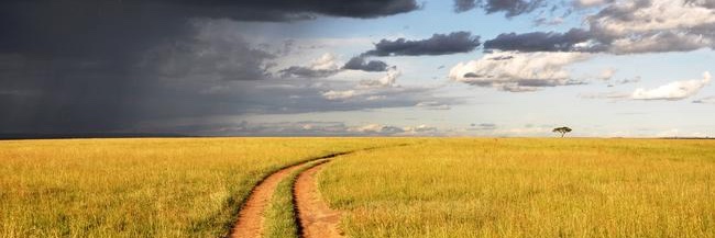 CuriousBadger2 banner