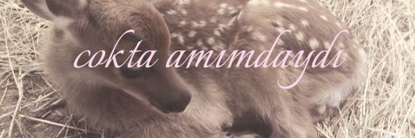 waeury Profile Banner