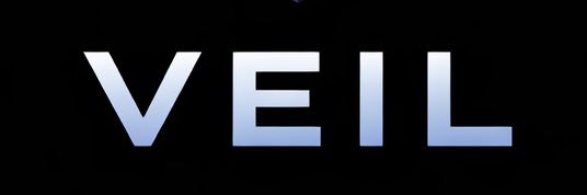 VEIL OFFICIAL banner