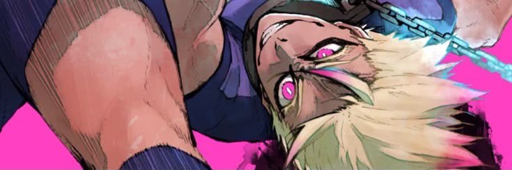 sdsefan's profile banner image