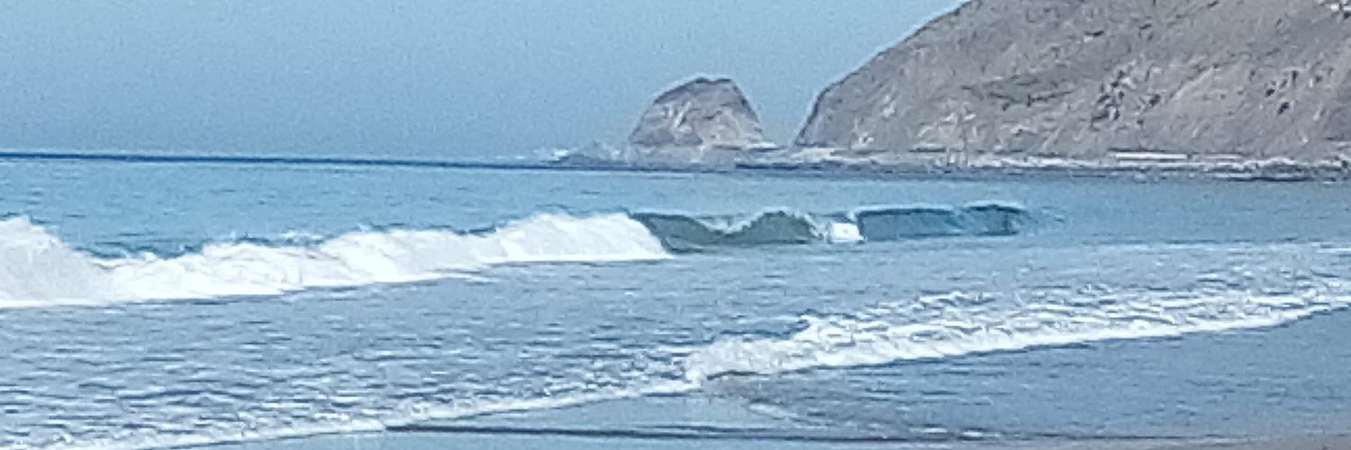 True Son of Liberty 🗽 banner