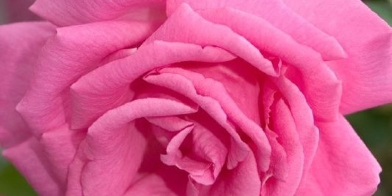 igo5504's profile banner image