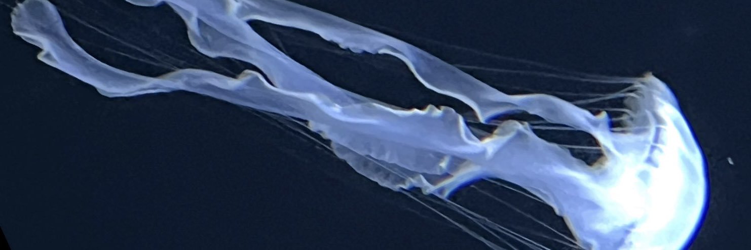 ☔︎ banner