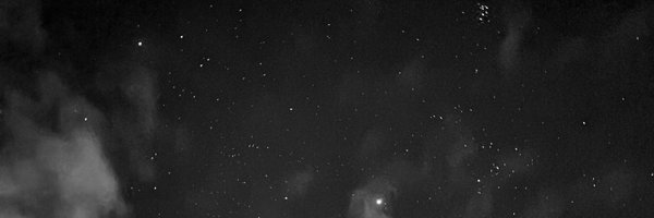 zoosoeoa Profile Banner
