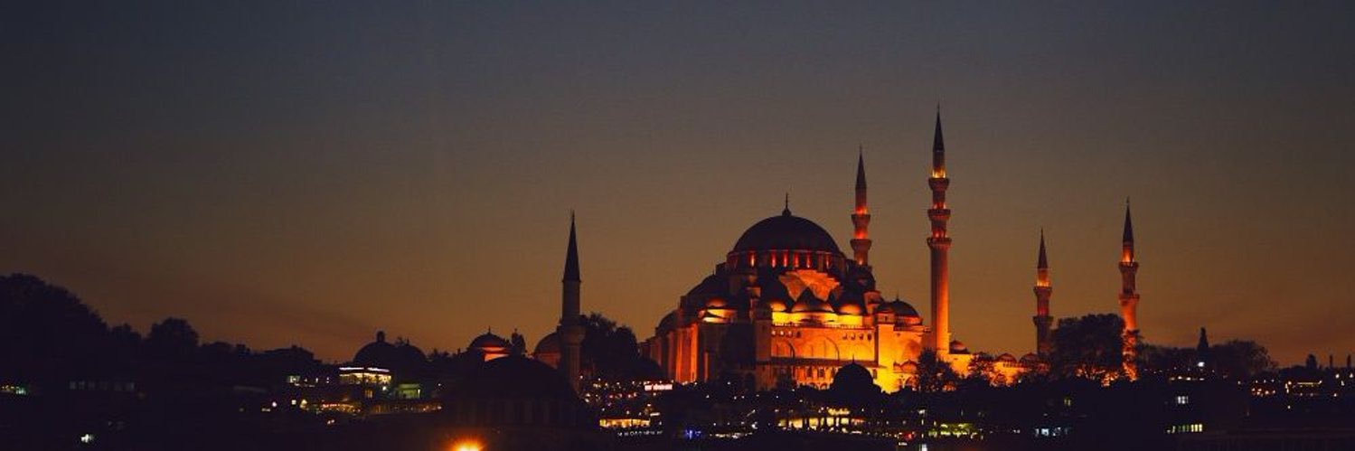 мυѕα ♟️ banner