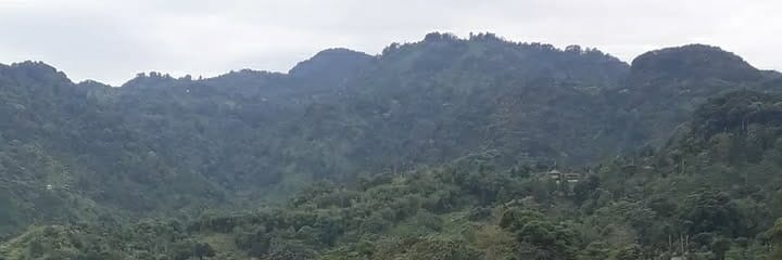 ressa pebrian banner