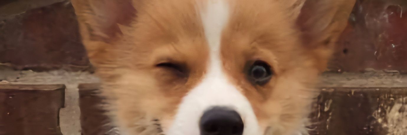 joygrace0_0's profile banner image