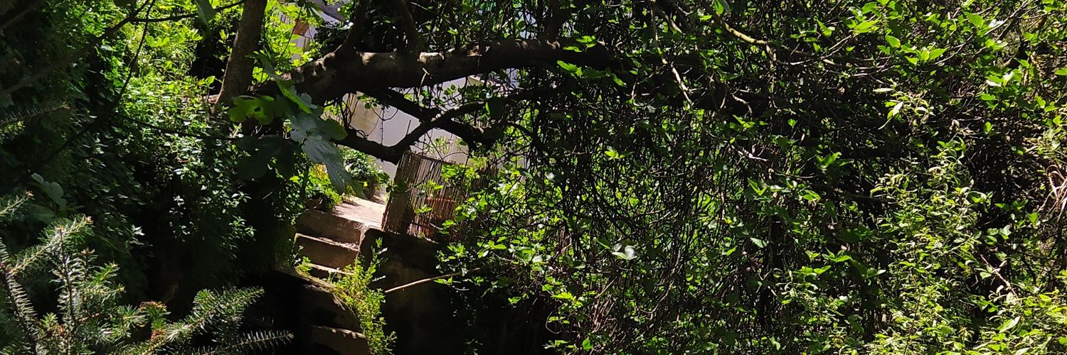 _de_luna's profile banner image