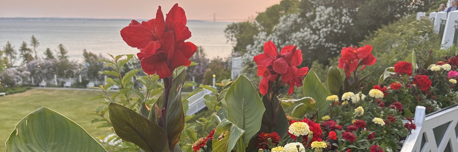 matucker726's profile banner image