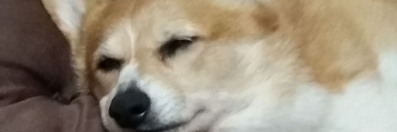 KeittyK's profile banner image