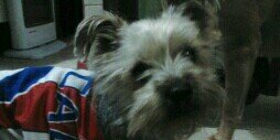 cristin106's profile banner image