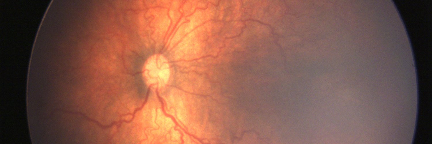 Parijat Chandra banner