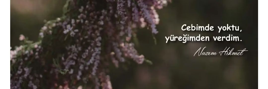 rdvnmrl's profile banner image