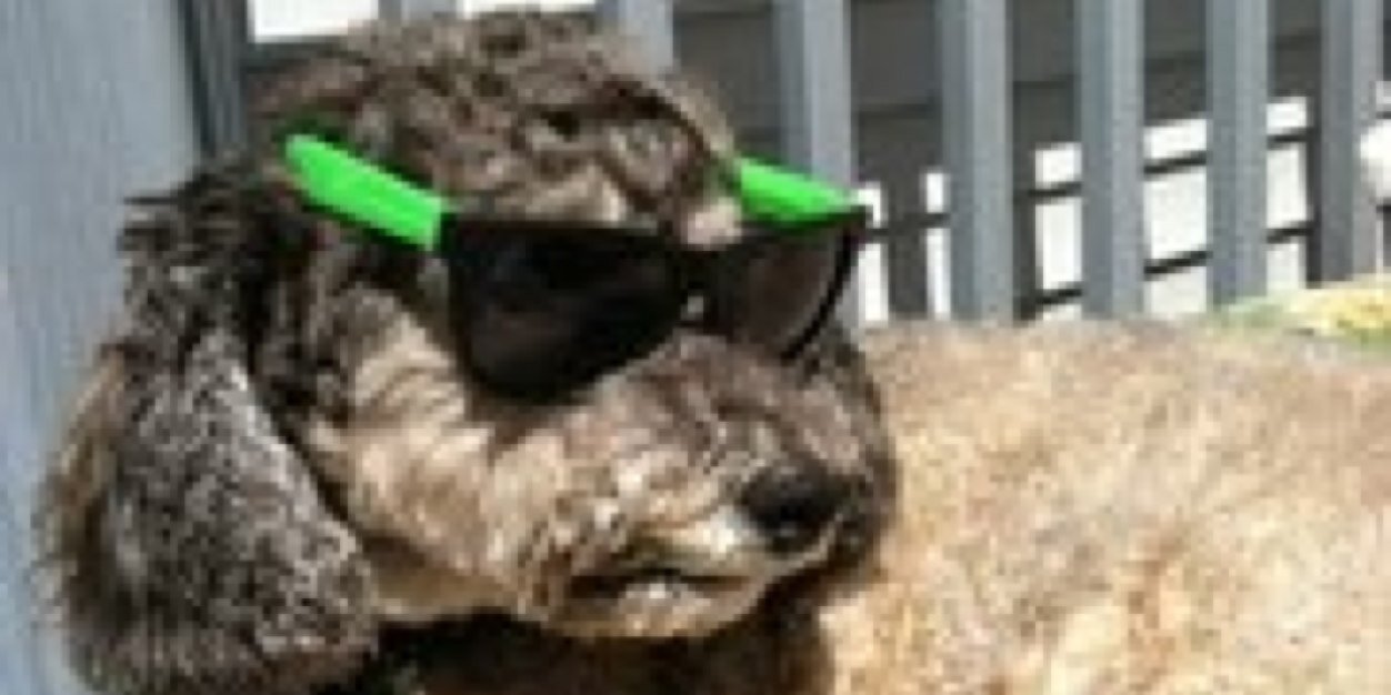 J_Boyce9's profile banner image