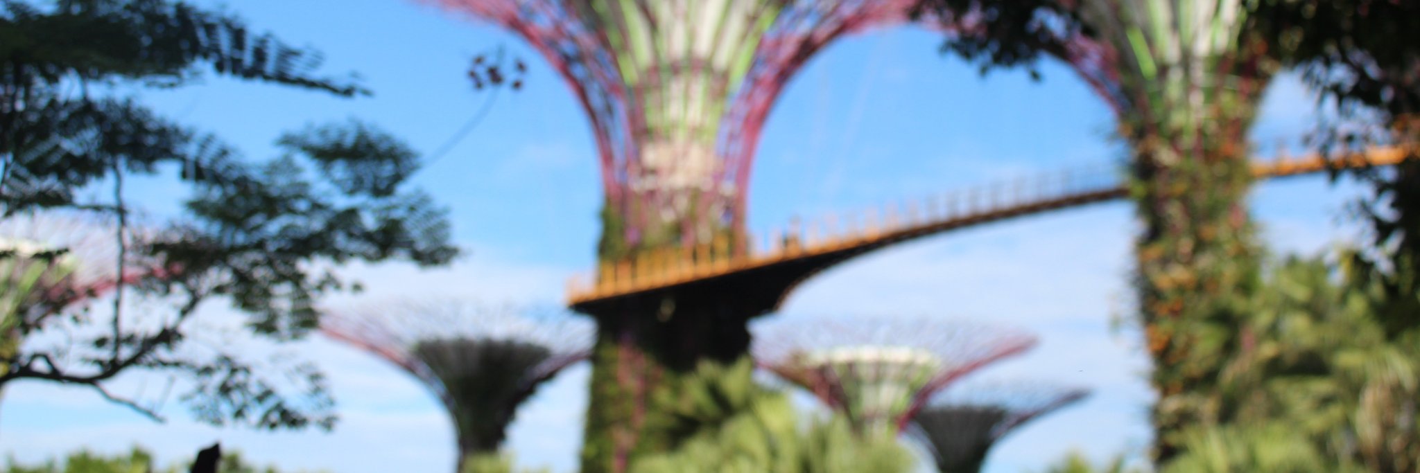 primapimaa's profile banner image