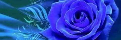 loremyrvold's profile banner image