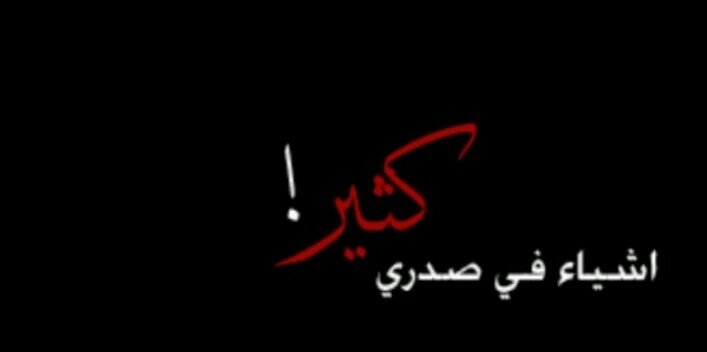 molaa_3's profile banner image