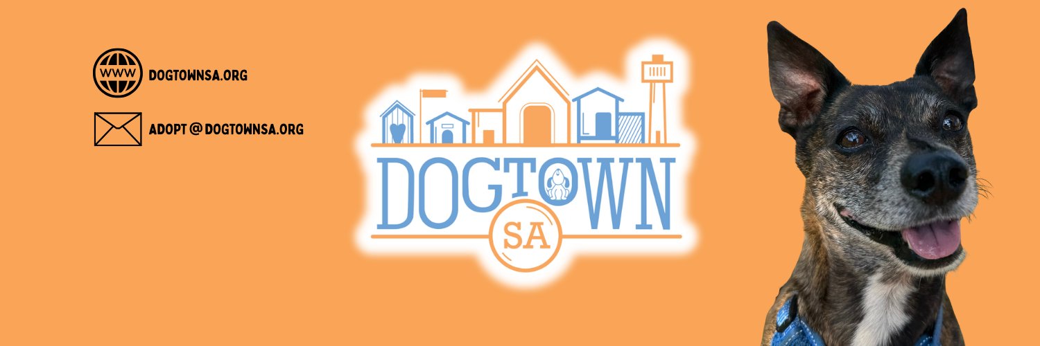 DogtownSA banner