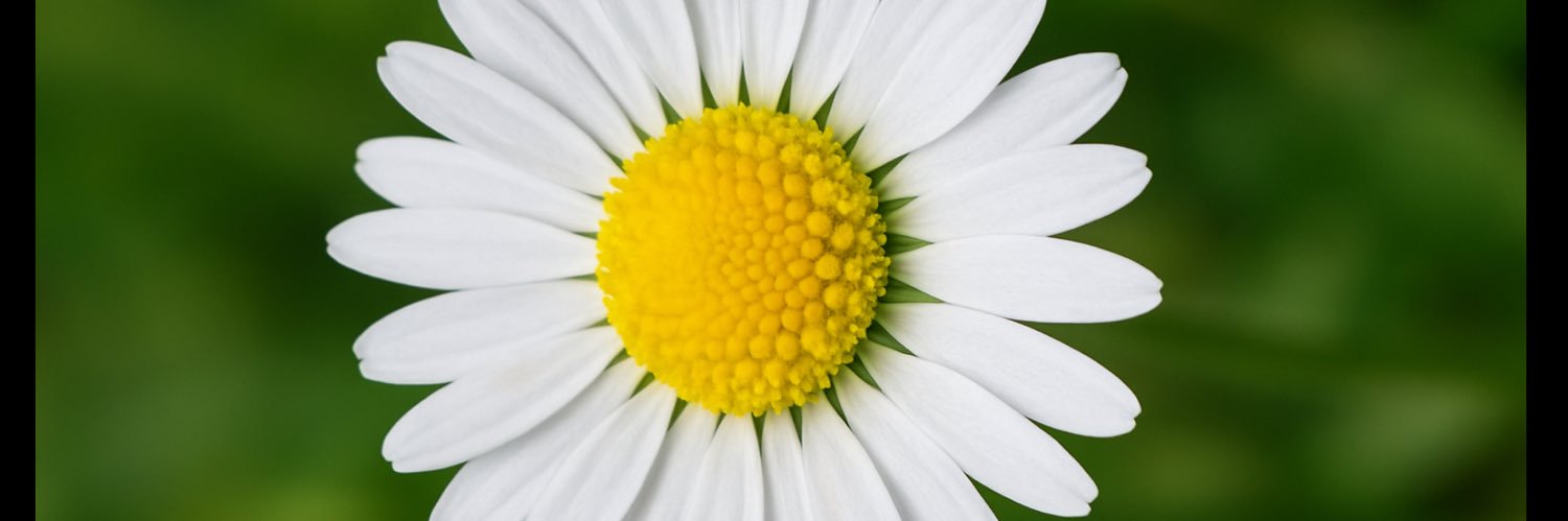 Caramel String🌼 banner