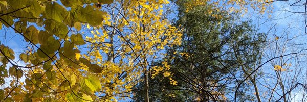 sandmarg Profile Banner