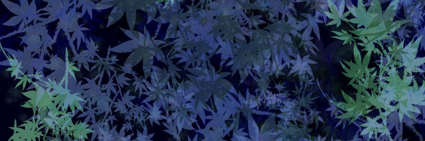 miririn0's profile banner image