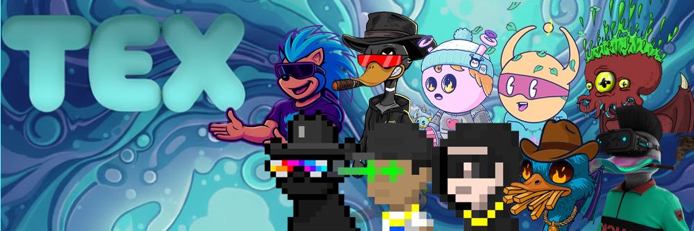TEX banner