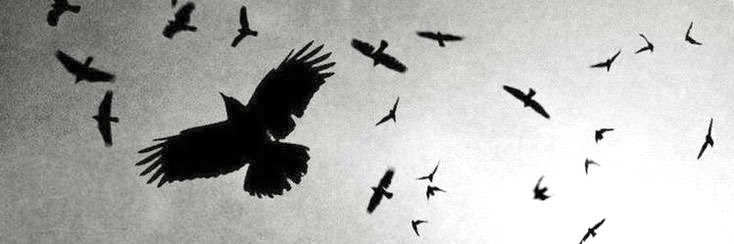 ٰ banner