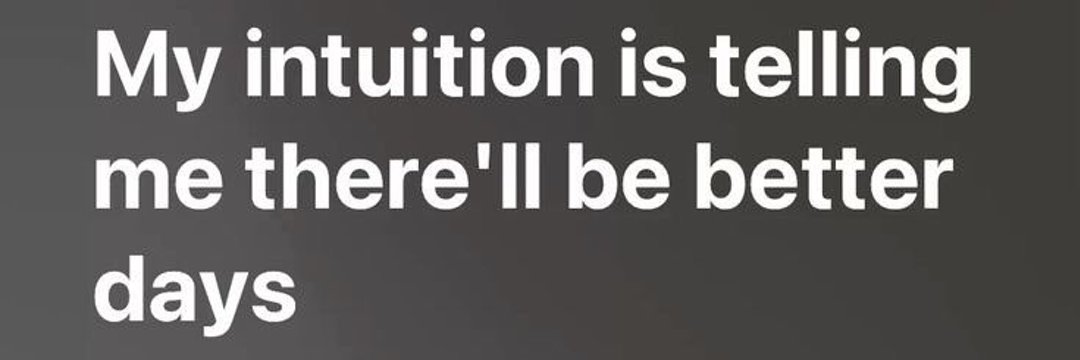 shniggermuffin banner