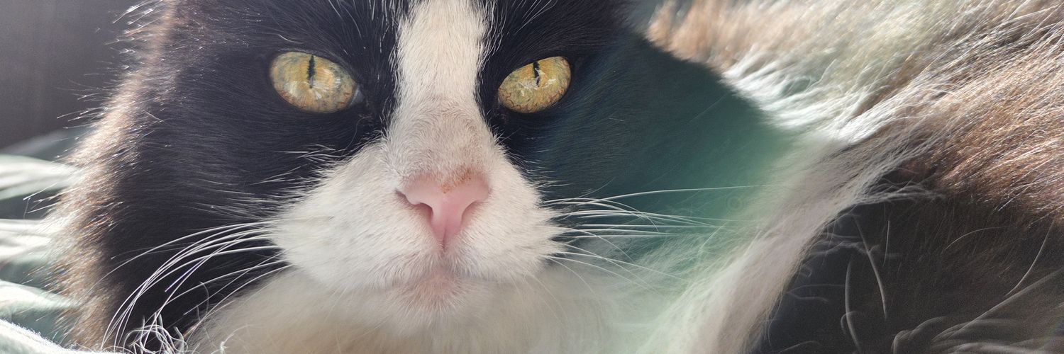 오늘도 겨우 banner