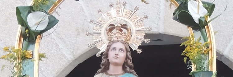 virgenflores_'s profile banner image