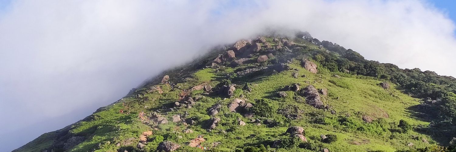 naan_E_'s profile banner image
