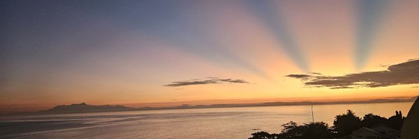 alpaca_army001 Profile Banner