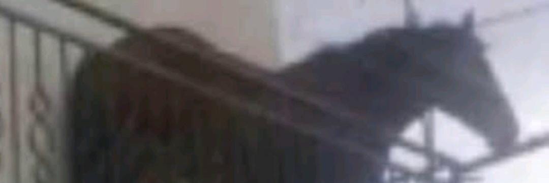 Oiram banner