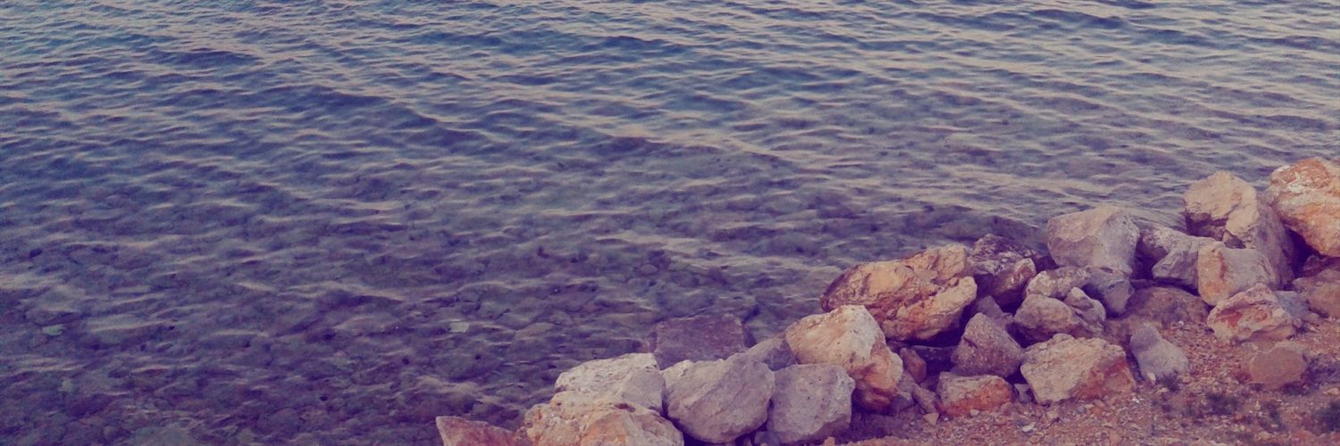 esra_taran's profile banner image