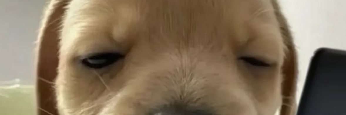 bbjkgx's profile banner image