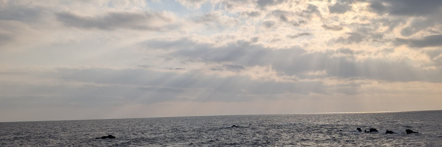 アンドレア ₍₍ 𓃵 ⁾⁾ banner