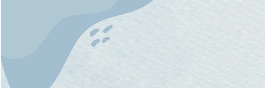 Ubugoe_ acapella banner