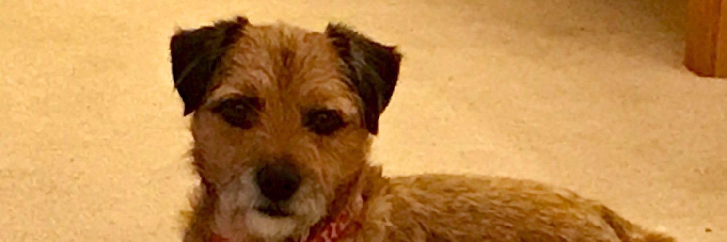 Forgoodnesssake banner