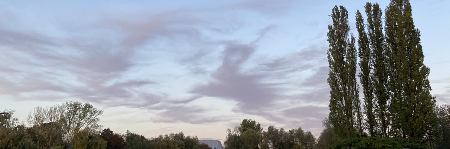 Naerits's profile banner image