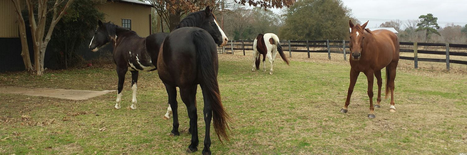 Ambassador to Truth banner