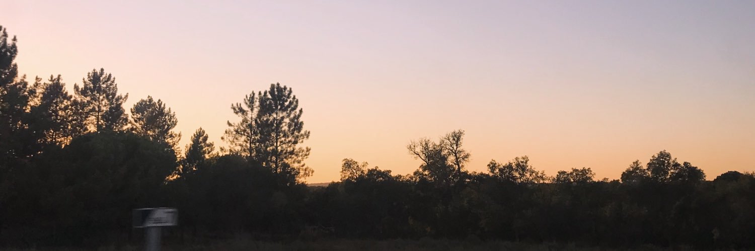 Martapnvaz's profile banner image