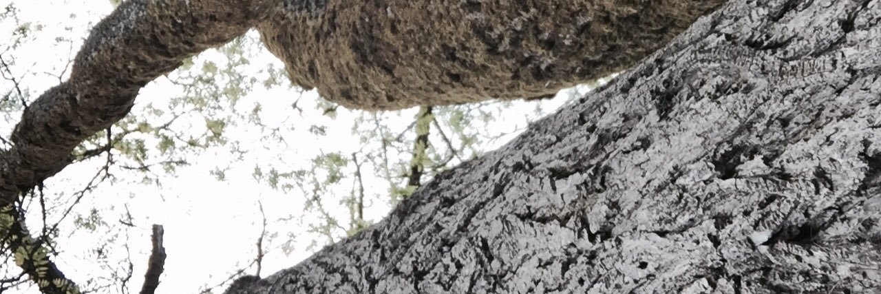 independentpen's profile banner image