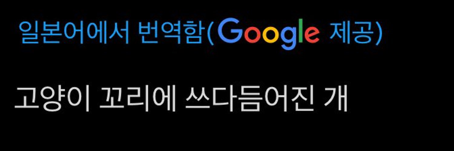 sᴀᴘᴘᴏʀᴏ banner