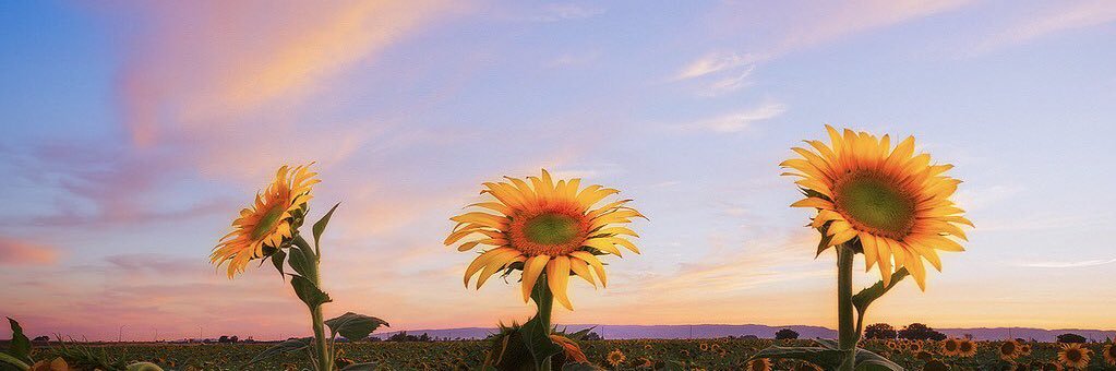 19june__'s profile banner image