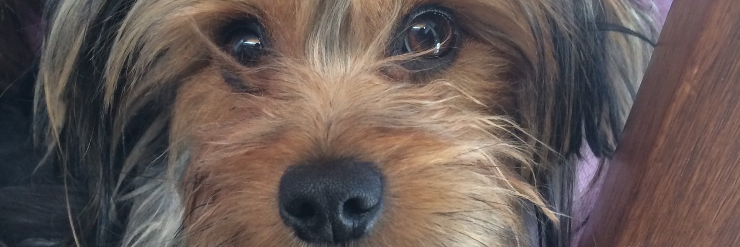 AstburyArg's profile banner image