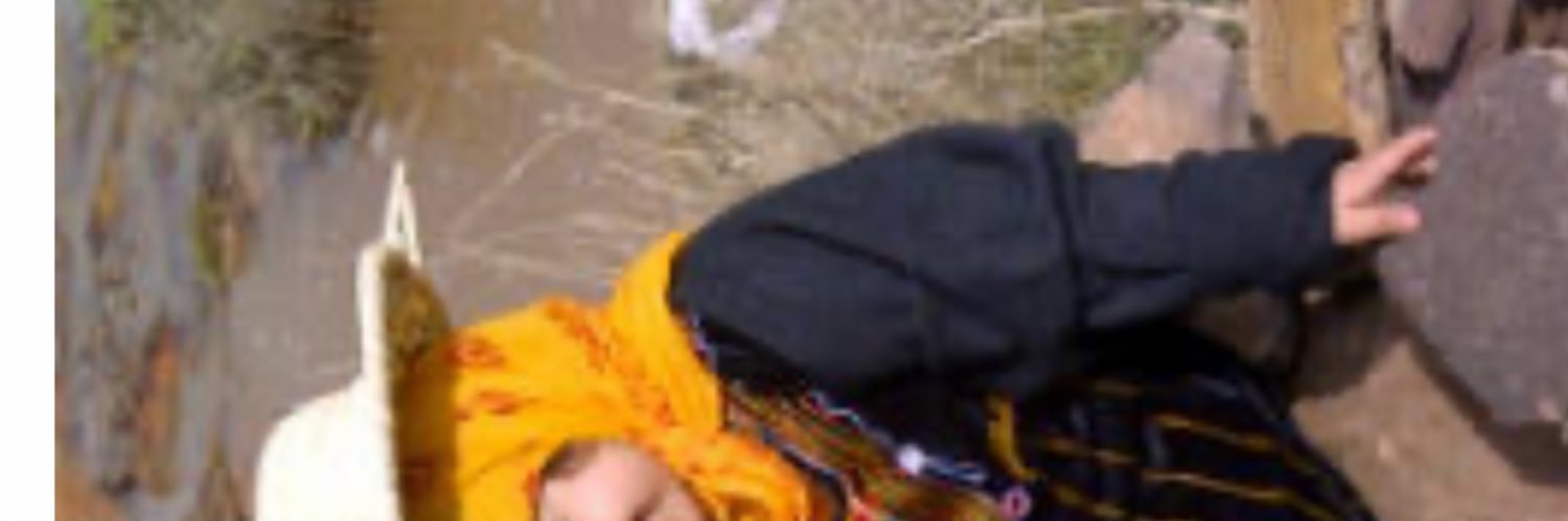 🌷 banner
