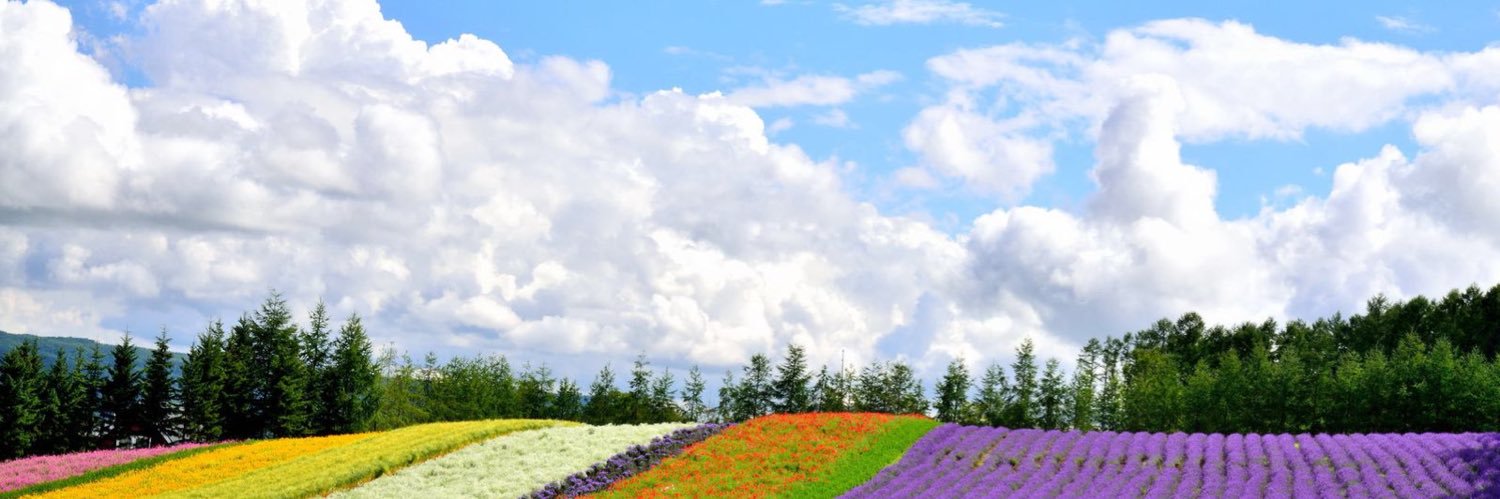 putan　ぷぅ🐿 banner