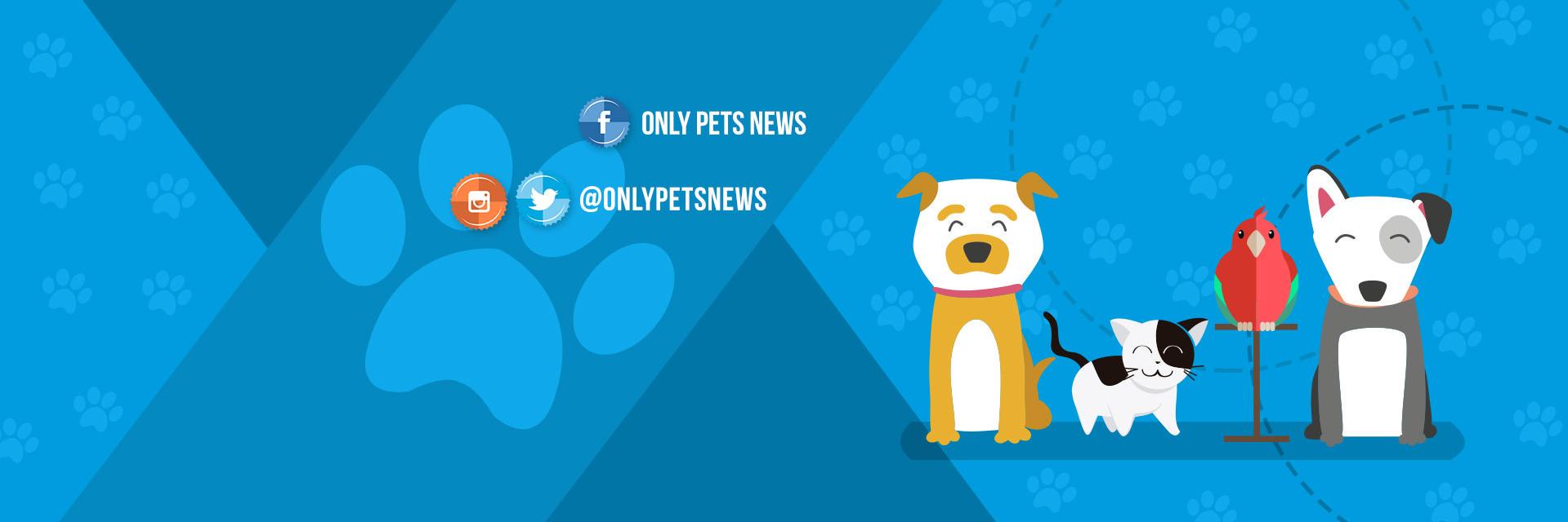 Only Pets News banner