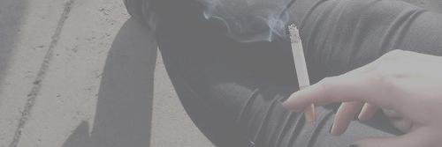WonderShanShine's profile banner image
